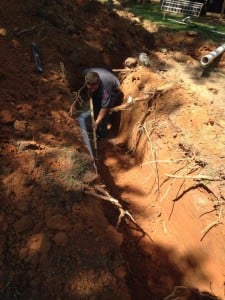 Sewer lines broken from roots